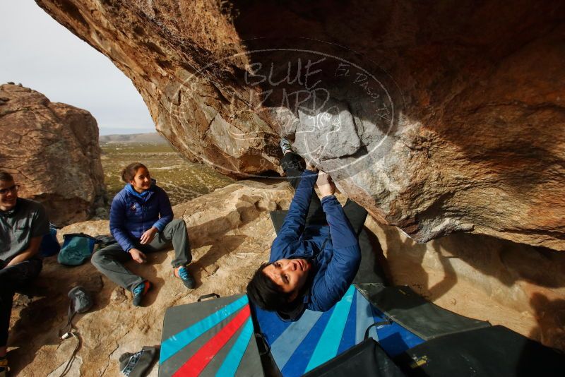 Bouldering in Hueco Tanks on 11/27/2019 with Blue Lizard Climbing and Yoga

Filename: SRM_20191127_1014080.jpg
Aperture: f/9.0
Shutter Speed: 1/250
Body: Canon EOS-1D Mark II
Lens: Canon EF 16-35mm f/2.8 L