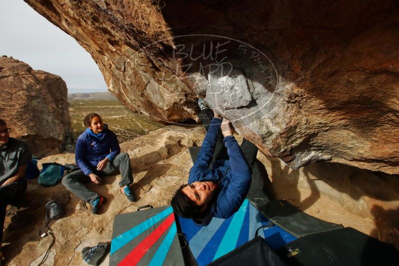 Bouldering in Hueco Tanks on 11/27/2019 with Blue Lizard Climbing and Yoga
Filename: SRM_20191127_1014081.jpg
Aperture: f/9.0
Shutter Speed: 1/250
Body: Canon EOS-1D Mark II
Lens: Canon EF 16-35mm f/2.8 L