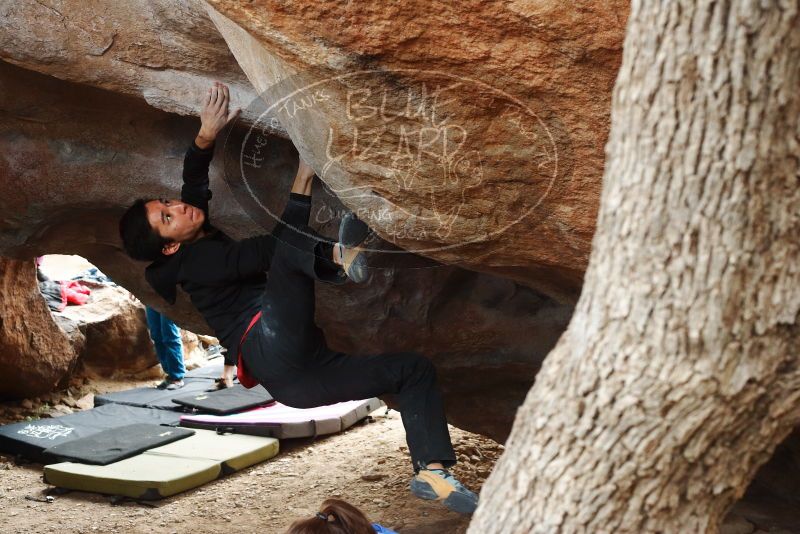Bouldering in Hueco Tanks on 11/27/2019 with Blue Lizard Climbing and Yoga
Filename: SRM_20191127_1124180.jpg
Aperture: f/5.0
Shutter Speed: 1/250
Body: Canon EOS-1D Mark II
Lens: Canon EF 50mm f/1.8 II