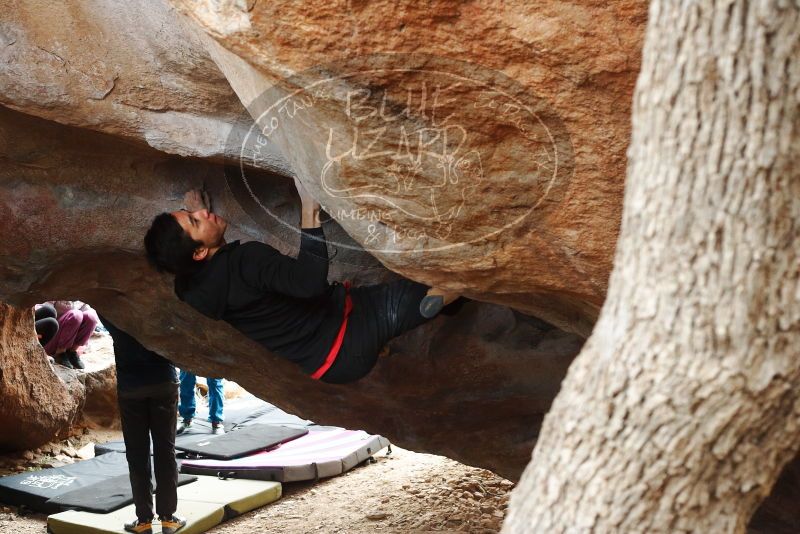 Bouldering in Hueco Tanks on 11/27/2019 with Blue Lizard Climbing and Yoga

Filename: SRM_20191127_1127120.jpg
Aperture: f/5.0
Shutter Speed: 1/250
Body: Canon EOS-1D Mark II
Lens: Canon EF 50mm f/1.8 II