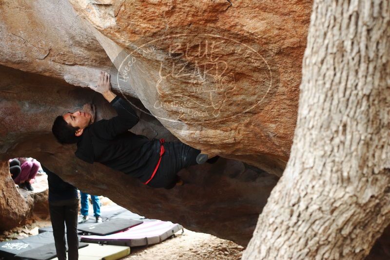 Bouldering in Hueco Tanks on 11/27/2019 with Blue Lizard Climbing and Yoga
Filename: SRM_20191127_1127122.jpg
Aperture: f/5.0
Shutter Speed: 1/250
Body: Canon EOS-1D Mark II
Lens: Canon EF 50mm f/1.8 II