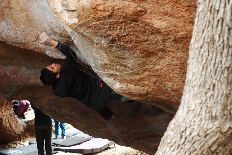 Bouldering in Hueco Tanks on 11/27/2019 with Blue Lizard Climbing and Yoga
Filename: SRM_20191127_1127140.jpg
Aperture: f/5.0
Shutter Speed: 1/250
Body: Canon EOS-1D Mark II
Lens: Canon EF 50mm f/1.8 II