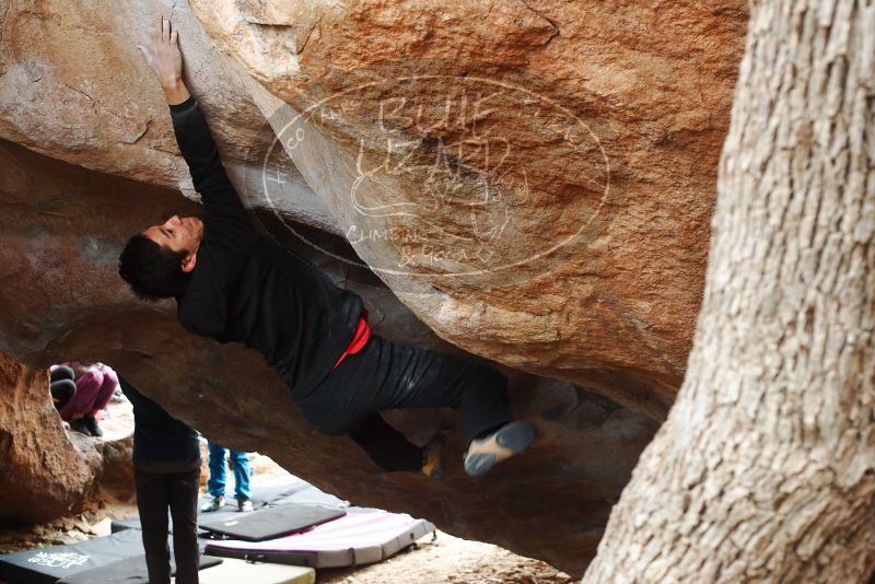 Bouldering in Hueco Tanks on 11/27/2019 with Blue Lizard Climbing and Yoga

Filename: SRM_20191127_1127141.jpg
Aperture: f/4.5
Shutter Speed: 1/250
Body: Canon EOS-1D Mark II
Lens: Canon EF 50mm f/1.8 II