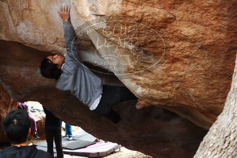 Bouldering in Hueco Tanks on 11/27/2019 with Blue Lizard Climbing and Yoga
Filename: SRM_20191127_1129060.jpg
Aperture: f/5.0
Shutter Speed: 1/250
Body: Canon EOS-1D Mark II
Lens: Canon EF 50mm f/1.8 II