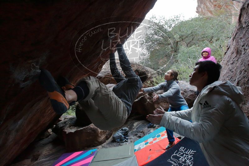 Bouldering in Hueco Tanks on 11/27/2019 with Blue Lizard Climbing and Yoga
Filename: SRM_20191127_1257110.jpg
Aperture: f/6.3
Shutter Speed: 1/250
Body: Canon EOS-1D Mark II
Lens: Canon EF 16-35mm f/2.8 L