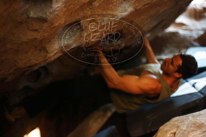 Filename: SRM_20191129_1157080.jpg
Aperture: f/1.8
Shutter Speed: 1/80
Body: Canon EOS-1D Mark II
Lens: Canon EF 50mm f/1.8 II