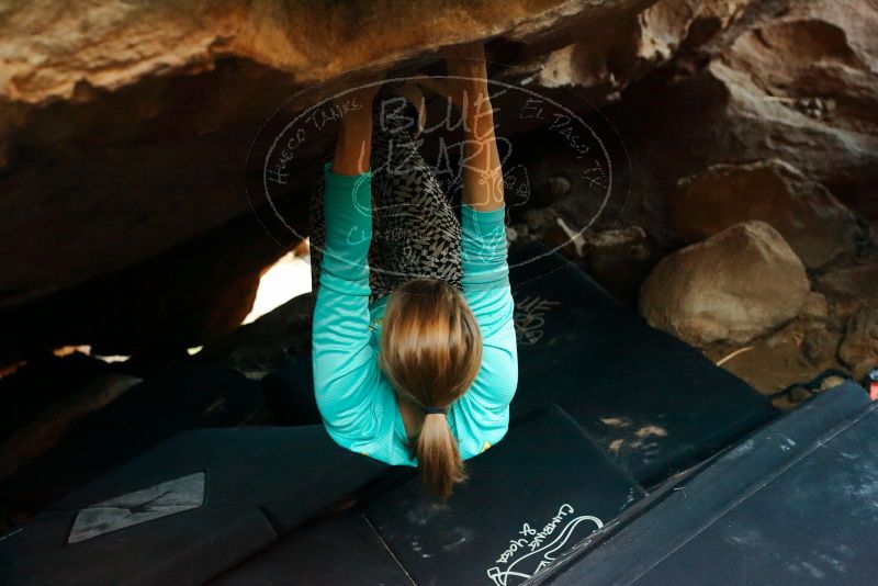 Bouldering in Hueco Tanks on 11/29/2019 with Blue Lizard Climbing and Yoga

Filename: SRM_20191129_1229330.jpg
Aperture: f/4.0
Shutter Speed: 1/200
Body: Canon EOS-1D Mark II
Lens: Canon EF 50mm f/1.8 II