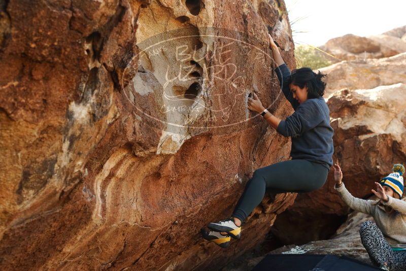 Bouldering in Hueco Tanks on 11/29/2019 with Blue Lizard Climbing and Yoga

Filename: SRM_20191129_1421250.jpg
Aperture: f/4.5
Shutter Speed: 1/250
Body: Canon EOS-1D Mark II
Lens: Canon EF 50mm f/1.8 II