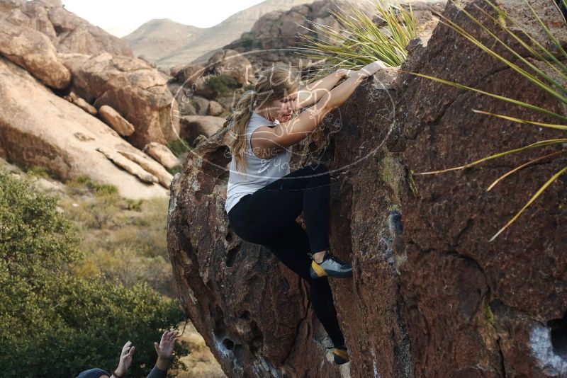 Bouldering in Hueco Tanks on 11/29/2019 with Blue Lizard Climbing and Yoga

Filename: SRM_20191129_1423190.jpg
Aperture: f/5.0
Shutter Speed: 1/250
Body: Canon EOS-1D Mark II
Lens: Canon EF 50mm f/1.8 II