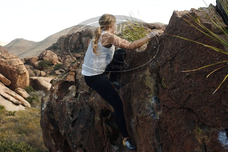 Bouldering in Hueco Tanks on 11/29/2019 with Blue Lizard Climbing and Yoga
Filename: SRM_20191129_1423270.jpg
Aperture: f/5.6
Shutter Speed: 1/250
Body: Canon EOS-1D Mark II
Lens: Canon EF 50mm f/1.8 II