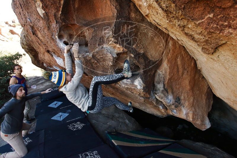 Bouldering in Hueco Tanks on 11/29/2019 with Blue Lizard Climbing and Yoga

Filename: SRM_20191129_1459410.jpg
Aperture: f/5.0
Shutter Speed: 1/250
Body: Canon EOS-1D Mark II
Lens: Canon EF 16-35mm f/2.8 L