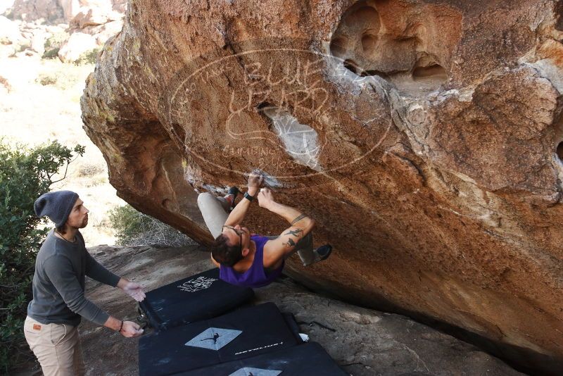 Bouldering in Hueco Tanks on 11/29/2019 with Blue Lizard Climbing and Yoga

Filename: SRM_20191129_1527400.jpg
Aperture: f/7.1
Shutter Speed: 1/250
Body: Canon EOS-1D Mark II
Lens: Canon EF 16-35mm f/2.8 L
