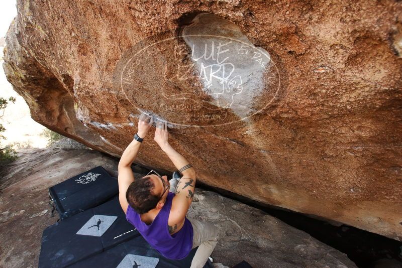 Bouldering in Hueco Tanks on 11/29/2019 with Blue Lizard Climbing and Yoga

Filename: SRM_20191129_1533570.jpg
Aperture: f/5.6
Shutter Speed: 1/250
Body: Canon EOS-1D Mark II
Lens: Canon EF 16-35mm f/2.8 L