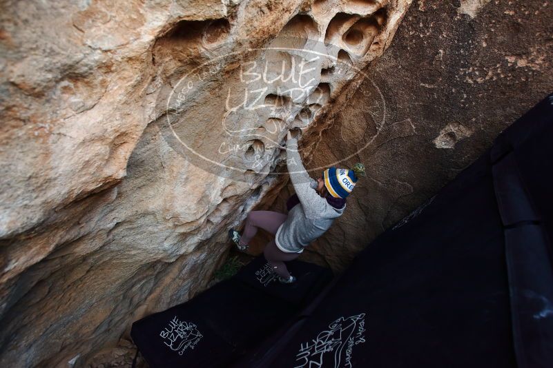 Bouldering in Hueco Tanks on 11/30/2019 with Blue Lizard Climbing and Yoga

Filename: SRM_20191130_1009000.jpg
Aperture: f/4.0
Shutter Speed: 1/250
Body: Canon EOS-1D Mark II
Lens: Canon EF 16-35mm f/2.8 L
