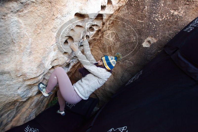 Bouldering in Hueco Tanks on 11/30/2019 with Blue Lizard Climbing and Yoga

Filename: SRM_20191130_1024520.jpg
Aperture: f/3.5
Shutter Speed: 1/250
Body: Canon EOS-1D Mark II
Lens: Canon EF 16-35mm f/2.8 L