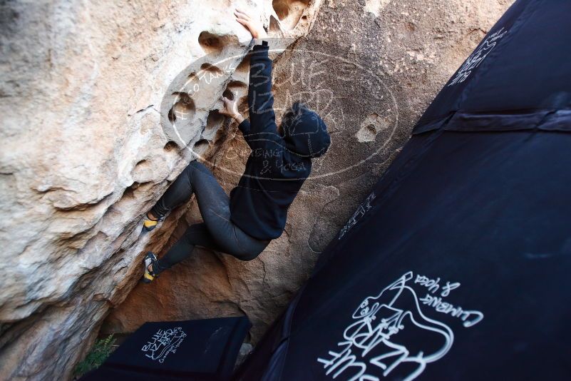 Bouldering in Hueco Tanks on 11/30/2019 with Blue Lizard Climbing and Yoga
Filename: SRM_20191130_1031050.jpg
Aperture: f/2.8
Shutter Speed: 1/250
Body: Canon EOS-1D Mark II
Lens: Canon EF 16-35mm f/2.8 L