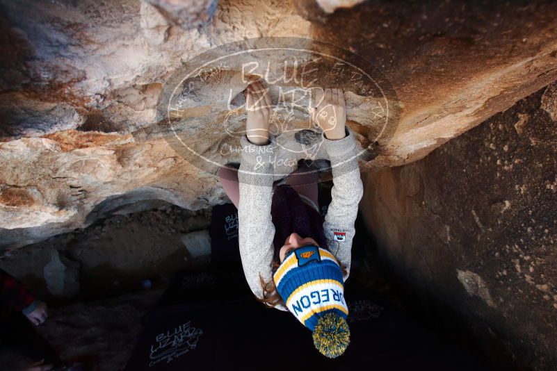 Bouldering in Hueco Tanks on 11/30/2019 with Blue Lizard Climbing and Yoga
Filename: SRM_20191130_1034080.jpg
Aperture: f/6.3
Shutter Speed: 1/250
Body: Canon EOS-1D Mark II
Lens: Canon EF 16-35mm f/2.8 L