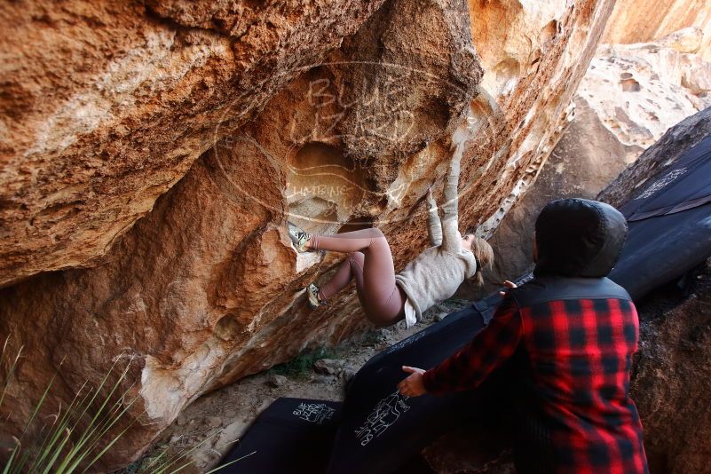Bouldering in Hueco Tanks on 11/30/2019 with Blue Lizard Climbing and Yoga
Filename: SRM_20191130_1240470.jpg
Aperture: f/4.0
Shutter Speed: 1/250
Body: Canon EOS-1D Mark II
Lens: Canon EF 16-35mm f/2.8 L