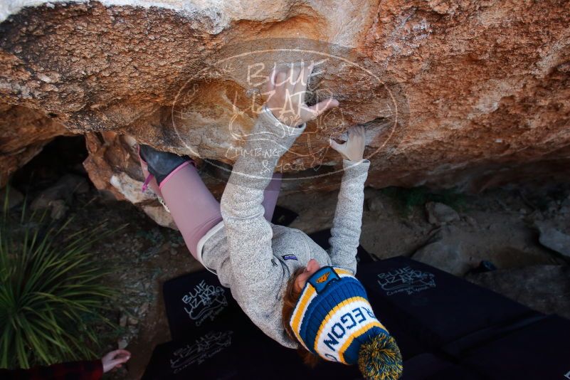 Bouldering in Hueco Tanks on 11/30/2019 with Blue Lizard Climbing and Yoga
Filename: SRM_20191130_1256120.jpg
Aperture: f/5.0
Shutter Speed: 1/250
Body: Canon EOS-1D Mark II
Lens: Canon EF 16-35mm f/2.8 L