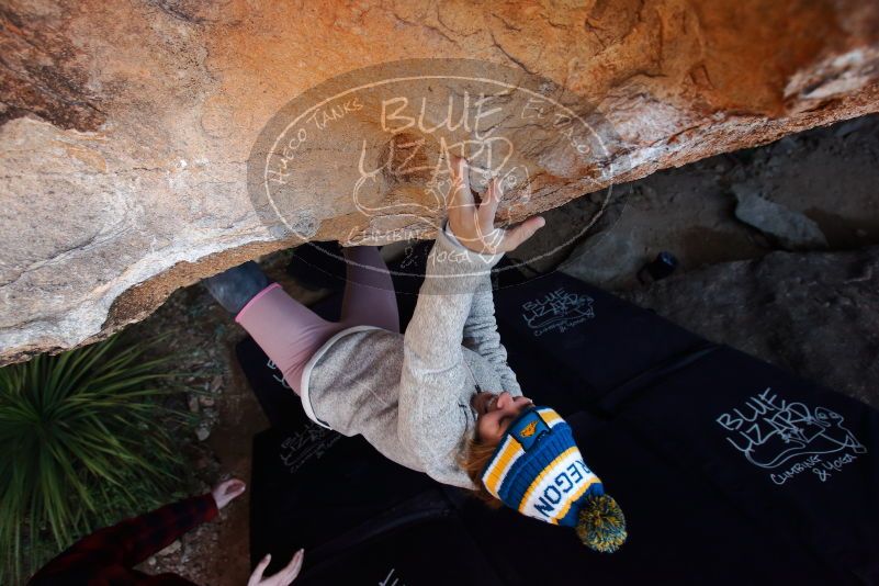 Bouldering in Hueco Tanks on 11/30/2019 with Blue Lizard Climbing and Yoga

Filename: SRM_20191130_1256170.jpg
Aperture: f/5.0
Shutter Speed: 1/250
Body: Canon EOS-1D Mark II
Lens: Canon EF 16-35mm f/2.8 L