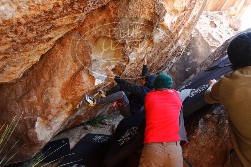Bouldering in Hueco Tanks on 11/30/2019 with Blue Lizard Climbing and Yoga
Filename: SRM_20191130_1315310.jpg
Aperture: f/4.0
Shutter Speed: 1/250
Body: Canon EOS-1D Mark II
Lens: Canon EF 16-35mm f/2.8 L
