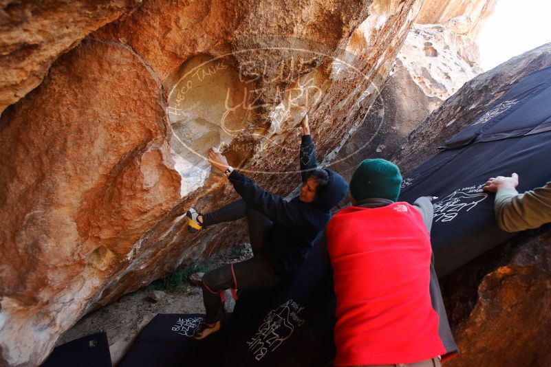 Bouldering in Hueco Tanks on 11/30/2019 with Blue Lizard Climbing and Yoga
Filename: SRM_20191130_1315311.jpg
Aperture: f/4.5
Shutter Speed: 1/250
Body: Canon EOS-1D Mark II
Lens: Canon EF 16-35mm f/2.8 L