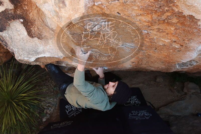 Bouldering in Hueco Tanks on 11/30/2019 with Blue Lizard Climbing and Yoga
Filename: SRM_20191130_1327080.jpg
Aperture: f/7.1
Shutter Speed: 1/250
Body: Canon EOS-1D Mark II
Lens: Canon EF 16-35mm f/2.8 L