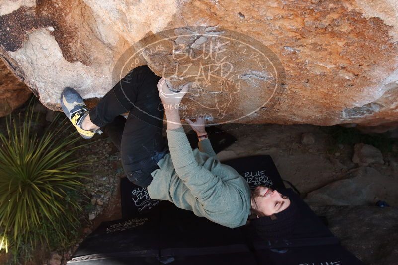 Bouldering in Hueco Tanks on 11/30/2019 with Blue Lizard Climbing and Yoga

Filename: SRM_20191130_1327150.jpg
Aperture: f/6.3
Shutter Speed: 1/250
Body: Canon EOS-1D Mark II
Lens: Canon EF 16-35mm f/2.8 L