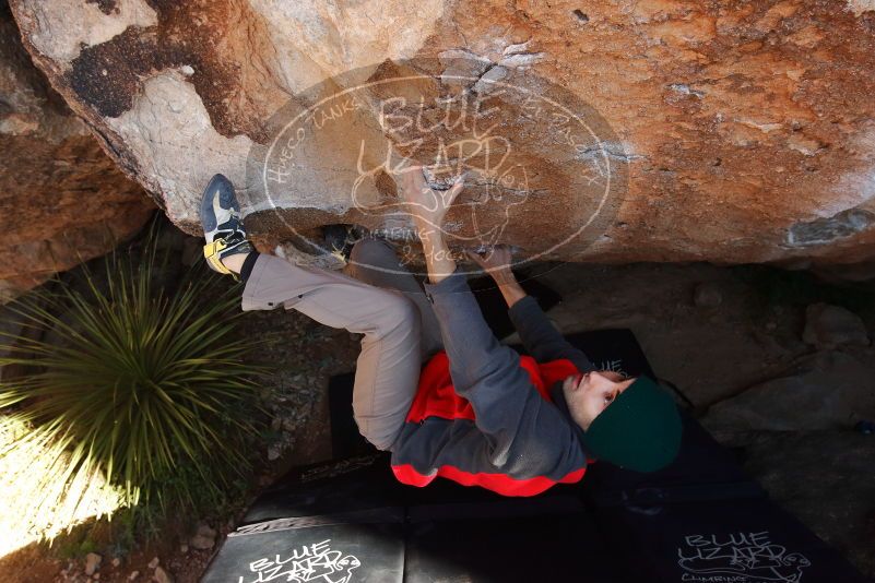 Bouldering in Hueco Tanks on 11/30/2019 with Blue Lizard Climbing and Yoga
Filename: SRM_20191130_1328400.jpg
Aperture: f/8.0
Shutter Speed: 1/250
Body: Canon EOS-1D Mark II
Lens: Canon EF 16-35mm f/2.8 L