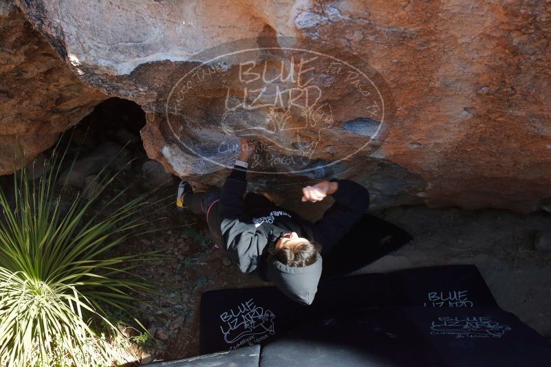 Bouldering in Hueco Tanks on 11/30/2019 with Blue Lizard Climbing and Yoga
Filename: SRM_20191130_1336240.jpg
Aperture: f/6.3
Shutter Speed: 1/250
Body: Canon EOS-1D Mark II
Lens: Canon EF 16-35mm f/2.8 L