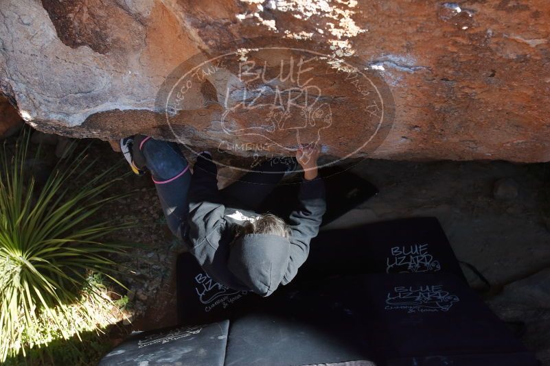 Bouldering in Hueco Tanks on 11/30/2019 with Blue Lizard Climbing and Yoga
Filename: SRM_20191130_1336370.jpg
Aperture: f/7.1
Shutter Speed: 1/250
Body: Canon EOS-1D Mark II
Lens: Canon EF 16-35mm f/2.8 L