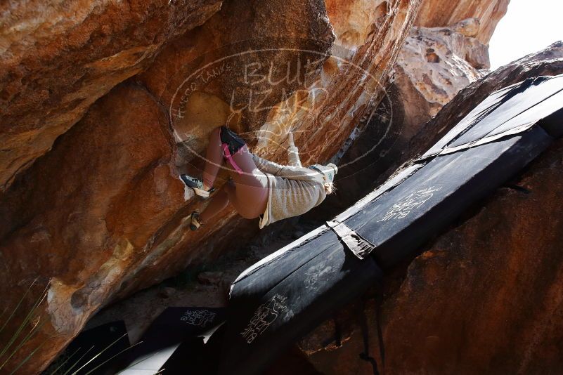 Bouldering in Hueco Tanks on 11/30/2019 with Blue Lizard Climbing and Yoga
Filename: SRM_20191130_1347300.jpg
Aperture: f/6.3
Shutter Speed: 1/250
Body: Canon EOS-1D Mark II
Lens: Canon EF 16-35mm f/2.8 L