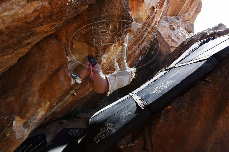 Bouldering in Hueco Tanks on 11/30/2019 with Blue Lizard Climbing and Yoga
Filename: SRM_20191130_1347320.jpg
Aperture: f/6.3
Shutter Speed: 1/250
Body: Canon EOS-1D Mark II
Lens: Canon EF 16-35mm f/2.8 L