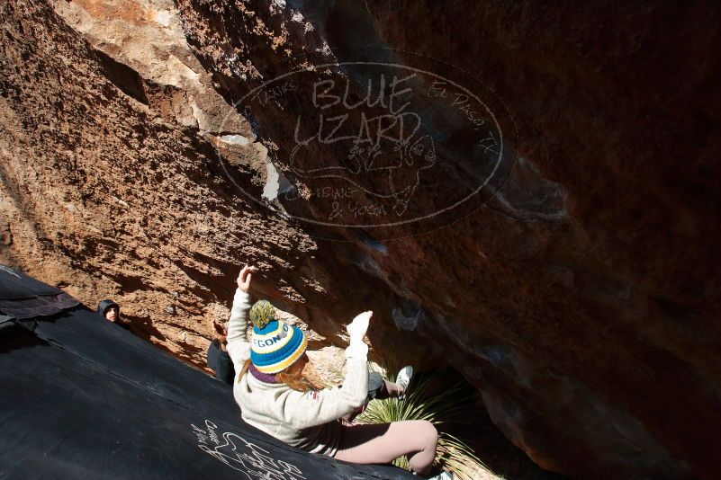 Bouldering in Hueco Tanks on 11/30/2019 with Blue Lizard Climbing and Yoga
Filename: SRM_20191130_1401010.jpg
Aperture: f/8.0
Shutter Speed: 1/320
Body: Canon EOS-1D Mark II
Lens: Canon EF 16-35mm f/2.8 L
