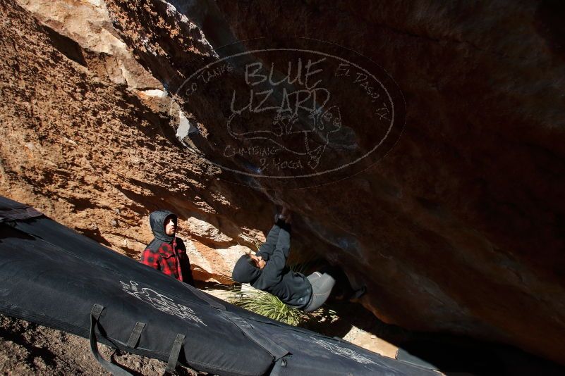 Bouldering in Hueco Tanks on 11/30/2019 with Blue Lizard Climbing and Yoga
Filename: SRM_20191130_1404360.jpg
Aperture: f/8.0
Shutter Speed: 1/320
Body: Canon EOS-1D Mark II
Lens: Canon EF 16-35mm f/2.8 L