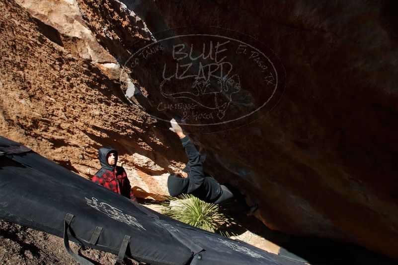 Bouldering in Hueco Tanks on 11/30/2019 with Blue Lizard Climbing and Yoga
Filename: SRM_20191130_1404370.jpg
Aperture: f/8.0
Shutter Speed: 1/320
Body: Canon EOS-1D Mark II
Lens: Canon EF 16-35mm f/2.8 L