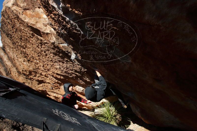 Bouldering in Hueco Tanks on 11/30/2019 with Blue Lizard Climbing and Yoga
Filename: SRM_20191130_1407220.jpg
Aperture: f/8.0
Shutter Speed: 1/320
Body: Canon EOS-1D Mark II
Lens: Canon EF 16-35mm f/2.8 L