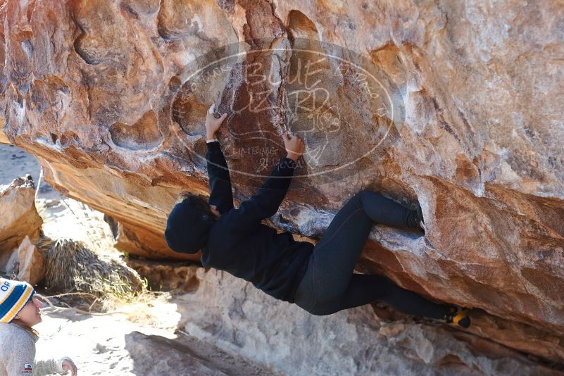 Bouldering in Hueco Tanks on 11/30/2019 with Blue Lizard Climbing and Yoga
Filename: SRM_20191130_1512580.jpg
Aperture: f/3.5
Shutter Speed: 1/320
Body: Canon EOS-1D Mark II
Lens: Canon EF 50mm f/1.8 II