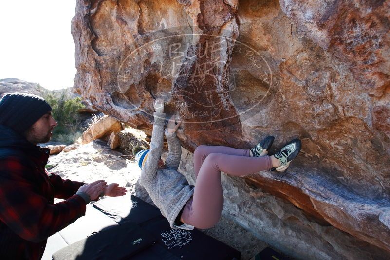 Bouldering in Hueco Tanks on 11/30/2019 with Blue Lizard Climbing and Yoga
Filename: SRM_20191130_1527210.jpg
Aperture: f/6.3
Shutter Speed: 1/250
Body: Canon EOS-1D Mark II
Lens: Canon EF 16-35mm f/2.8 L