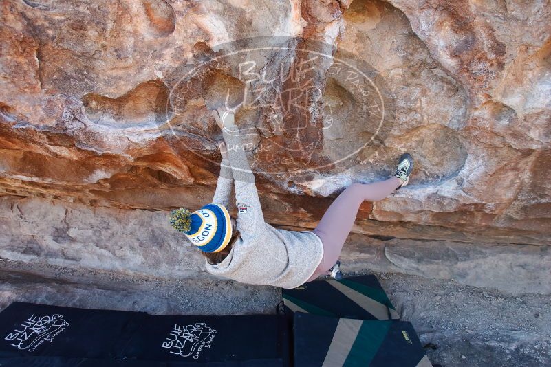 Bouldering in Hueco Tanks on 11/30/2019 with Blue Lizard Climbing and Yoga

Filename: SRM_20191130_1555400.jpg
Aperture: f/4.5
Shutter Speed: 1/250
Body: Canon EOS-1D Mark II
Lens: Canon EF 16-35mm f/2.8 L