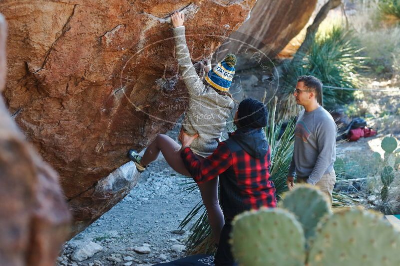 Bouldering in Hueco Tanks on 11/30/2019 with Blue Lizard Climbing and Yoga

Filename: SRM_20191130_1632310.jpg
Aperture: f/3.2
Shutter Speed: 1/250
Body: Canon EOS-1D Mark II
Lens: Canon EF 50mm f/1.8 II