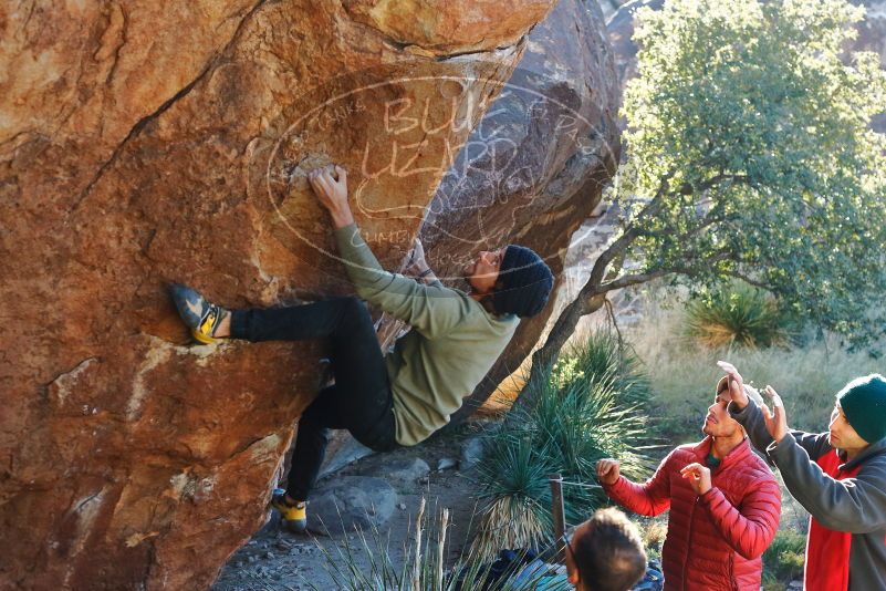 Bouldering in Hueco Tanks on 11/30/2019 with Blue Lizard Climbing and Yoga
Filename: SRM_20191130_1640430.jpg
Aperture: f/4.0
Shutter Speed: 1/250
Body: Canon EOS-1D Mark II
Lens: Canon EF 50mm f/1.8 II