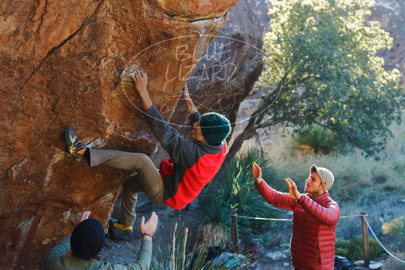 Bouldering in Hueco Tanks on 11/30/2019 with Blue Lizard Climbing and Yoga
Filename: SRM_20191130_1651450.jpg
Aperture: f/4.5
Shutter Speed: 1/250
Body: Canon EOS-1D Mark II
Lens: Canon EF 50mm f/1.8 II