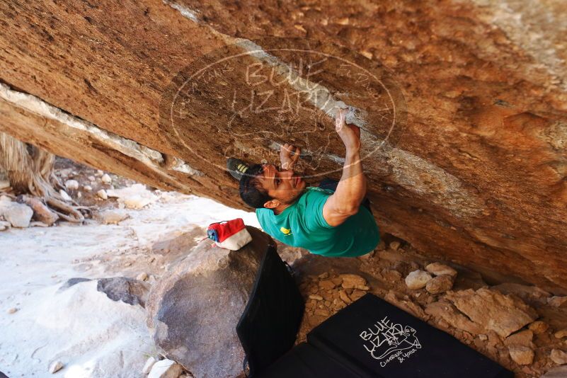 Bouldering in Hueco Tanks on 11/30/2019 with Blue Lizard Climbing and Yoga

Filename: SRM_20191130_1721120.jpg
Aperture: f/4.0
Shutter Speed: 1/250
Body: Canon EOS-1D Mark II
Lens: Canon EF 16-35mm f/2.8 L