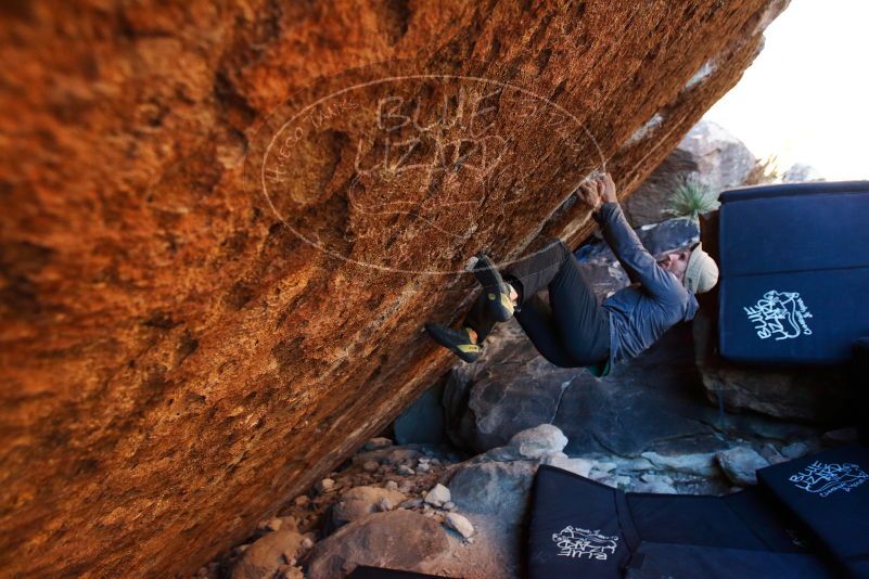 Bouldering in Hueco Tanks on 11/30/2019 with Blue Lizard Climbing and Yoga
Filename: SRM_20191130_1741290.jpg
Aperture: f/3.5
Shutter Speed: 1/250
Body: Canon EOS-1D Mark II
Lens: Canon EF 16-35mm f/2.8 L
