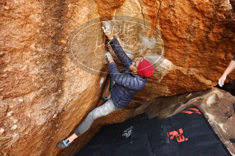 Bouldering in Hueco Tanks on 12/06/2019 with Blue Lizard Climbing and Yoga
Filename: SRM_20191206_1147320.jpg
Aperture: f/3.5
Shutter Speed: 1/250
Body: Canon EOS-1D Mark II
Lens: Canon EF 16-35mm f/2.8 L