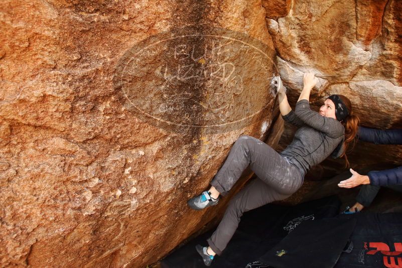 Bouldering in Hueco Tanks on 12/06/2019 with Blue Lizard Climbing and Yoga
Filename: SRM_20191206_1156370.jpg
Aperture: f/4.5
Shutter Speed: 1/250
Body: Canon EOS-1D Mark II
Lens: Canon EF 16-35mm f/2.8 L