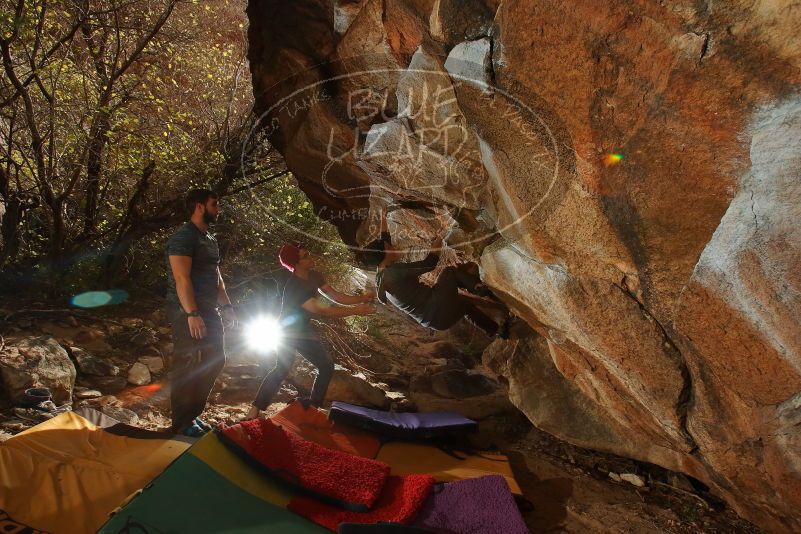 Bouldering in Hueco Tanks on 12/06/2019 with Blue Lizard Climbing and Yoga
Filename: SRM_20191206_1244480.jpg
Aperture: f/8.0
Shutter Speed: 1/250
Body: Canon EOS-1D Mark II
Lens: Canon EF 16-35mm f/2.8 L