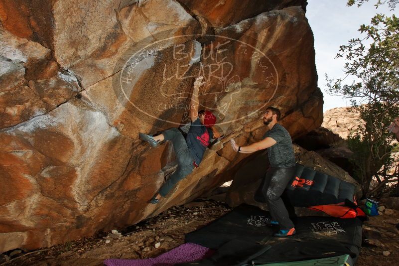 Bouldering in Hueco Tanks on 12/06/2019 with Blue Lizard Climbing and Yoga

Filename: SRM_20191206_1249190.jpg
Aperture: f/8.0
Shutter Speed: 1/250
Body: Canon EOS-1D Mark II
Lens: Canon EF 16-35mm f/2.8 L