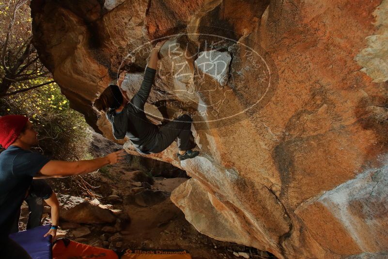 Bouldering in Hueco Tanks on 12/06/2019 with Blue Lizard Climbing and Yoga
Filename: SRM_20191206_1253040.jpg
Aperture: f/8.0
Shutter Speed: 1/250
Body: Canon EOS-1D Mark II
Lens: Canon EF 16-35mm f/2.8 L